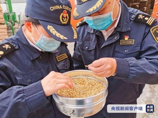 國際物流 國際貨運(yùn)代理 貨運(yùn)代理公司 航空國際貨運(yùn) ?？章?lián)運(yùn) 多式聯(lián)運(yùn)