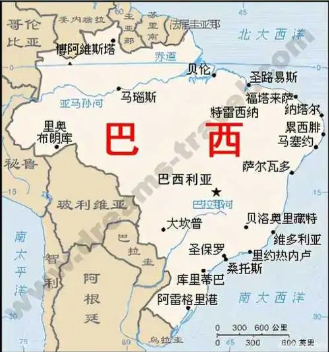 巴西專線 巴西海運(yùn)船期查詢 巴西空運(yùn)貨物追蹤 巴西?？章?lián)運(yùn)雙清包稅門到門