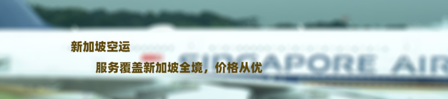 新加坡貨運(yùn)代理 新加坡物流公司 新加坡亞馬遜FBA頭程海運(yùn) 新加坡空運(yùn)專(zhuān)線(xiàn)國(guó)際物流有限公司