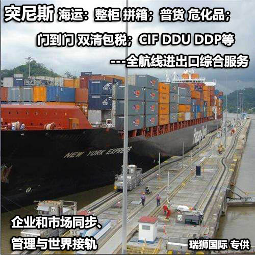 突尼斯貨運(yùn)專線 空運(yùn)專線 海卡專線 空派專線 空卡專線 雙清 包稅門到門國際物流