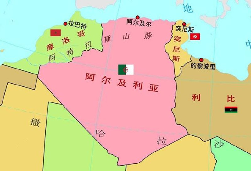 阿爾及利亞物流貨運(yùn)專線 阿爾及利亞空運(yùn) 阿爾及利亞海運(yùn) 阿爾及利亞?？贞懚嗍铰?lián)運(yùn)