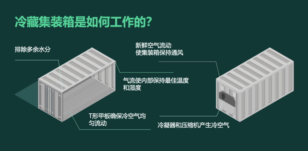 集裝箱冷柜如何運作？冷藏集裝箱工作原理 冷凍柜制冷原理